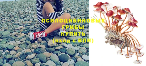 спиды Михайловск