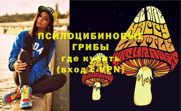 сатива Арсеньев