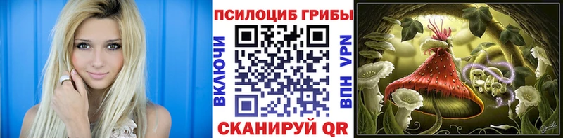 купить наркоту  Агрыз  Галлюциногенные грибы Psilocybe 